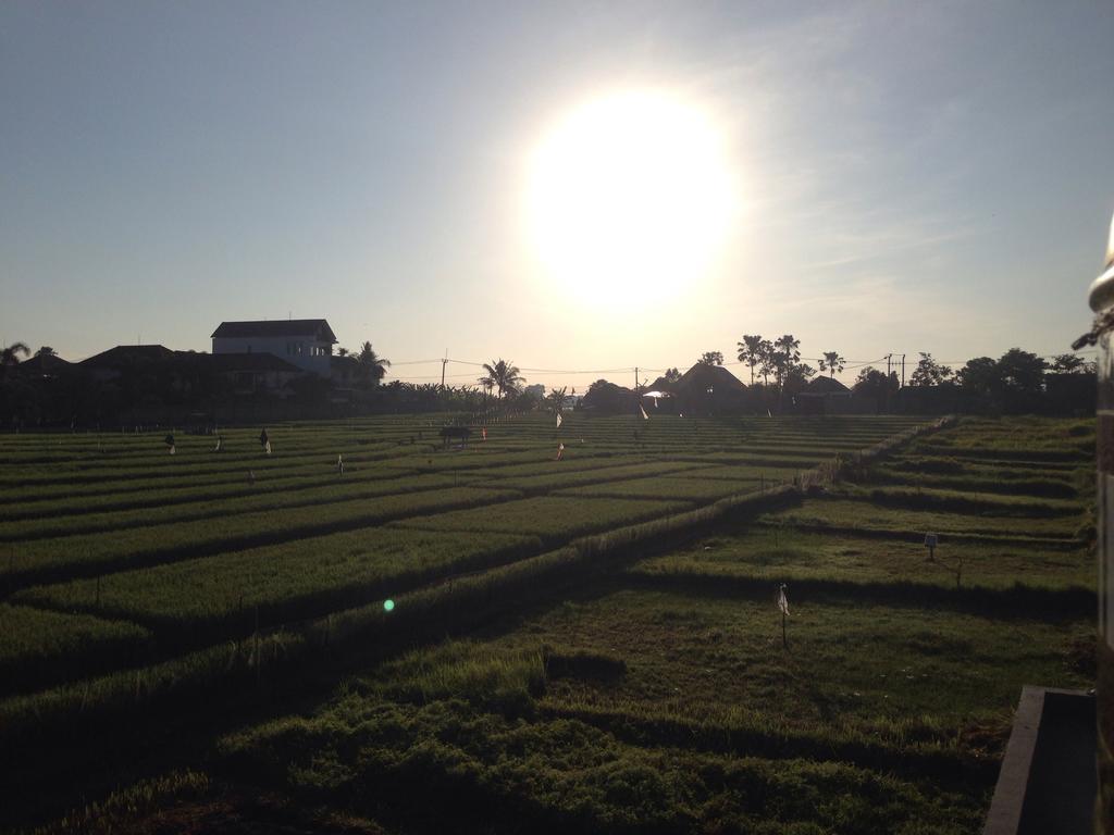 Ayu Guest House 2 Canggu  Ngoại thất bức ảnh