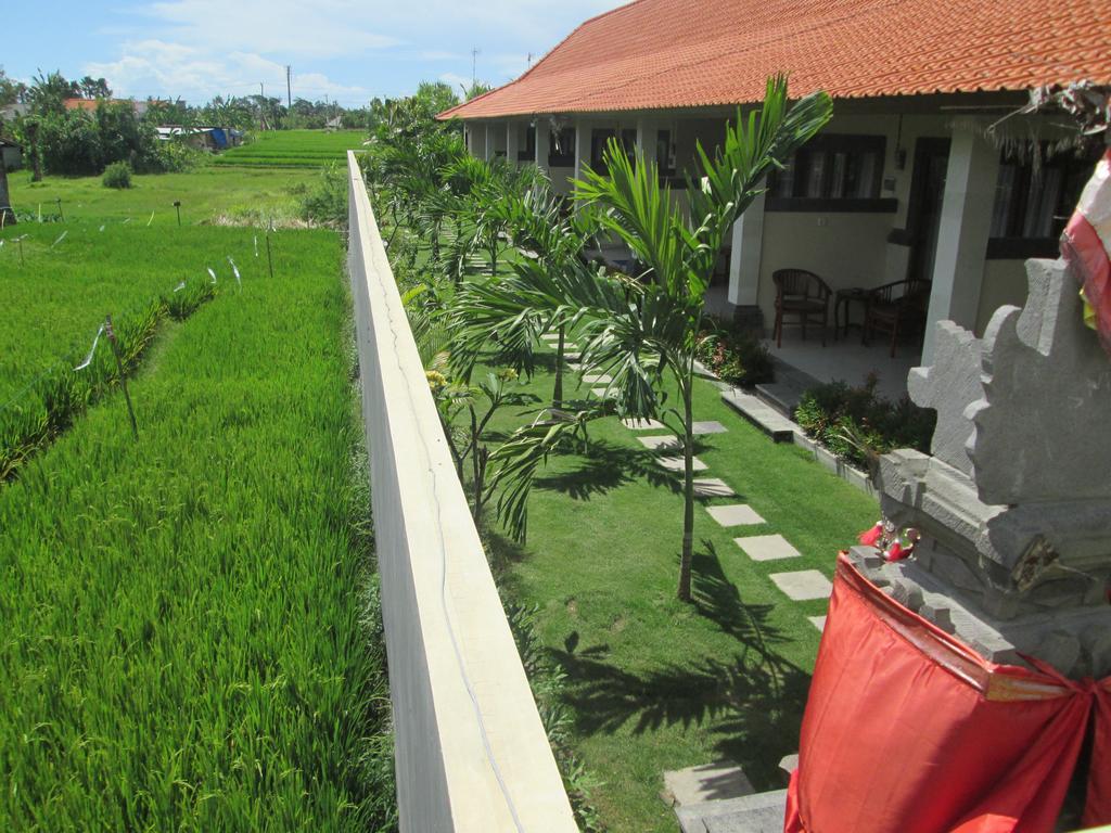 Ayu Guest House 2 Canggu  Ngoại thất bức ảnh